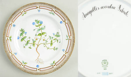 Flora Danica (1961 To Current) Dinner Plate-Anagallis coeiulea Schrel.