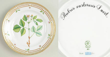 Flora Danica (1961 To Current) Salad Plate-Rubus castoreus Laest.