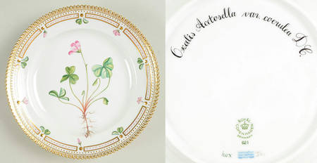 Flora Danica (1961 To Current) Salad Plate-Oxalis Acetosella L