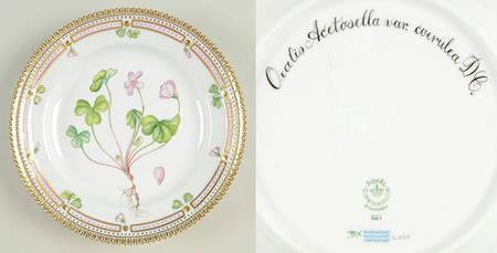 Flora Danica (1961 To Current) Salad Plate-Oxalis Acetosella L