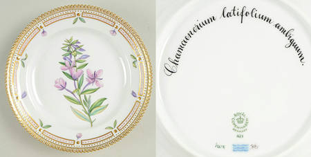 Flora Danica (1961 To Current) Salad Plate-Chamaenerium latifolium ambiguu