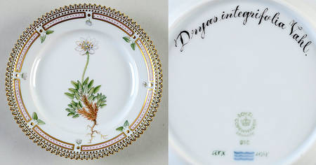 Flora Danica (1961 To Current) Bread & Butter Plate-Dryas integrifolia Vahl