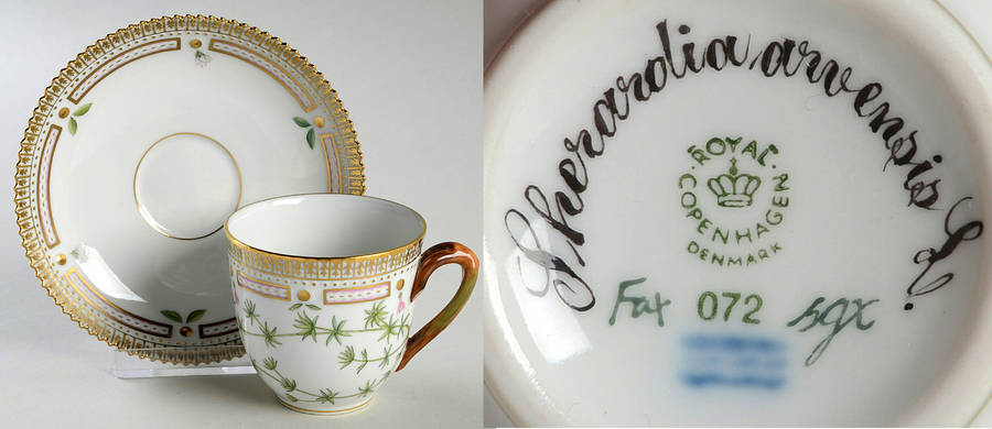 Flora Danica (1961 To Current) Flat Cup & Saucer Set-Sherardia arvensis L.