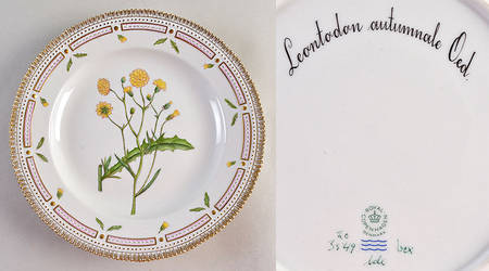 Flora Danica (1961 To Current) Dinner Plate-Leontodon autumnale Oed