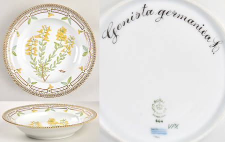 Flora Danica (1961 To Current) Rim Soup Bowl-Genista germanica L.