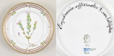 Flora Danica (1961 To Current) Bread & Butter Plate-Euphrasia officinalis L. var