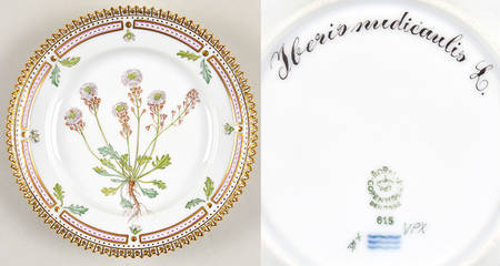 Flora Danica (1961 To Current) Bread & Butter Plate-Heris medicaolis L.