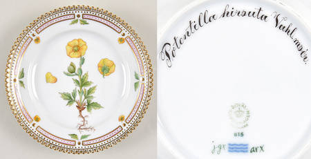 Flora Danica (1961 To Current) Bread & Butter Plate-Potentilla hirsula Vahl mocr