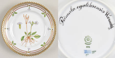 Flora Danica (1961 To Current) Bread & Butter Plate-Primula egaliksensis Wormskj
