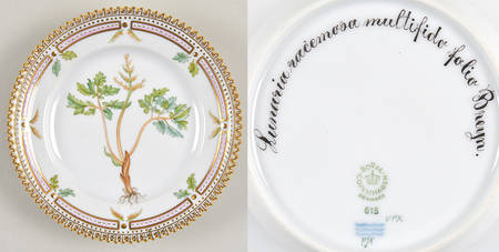 Flora Danica (1961 To Current) Bread & Butter Plate-Lunaria racemosa multifido fo