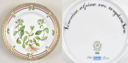 Flora Danica (1961 To Current) Bread & Butter Plate-Veronica alpina var. corymbos