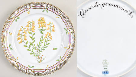 Flora Danica (1961 To Current) Luncheon Plate-Genista germanica L