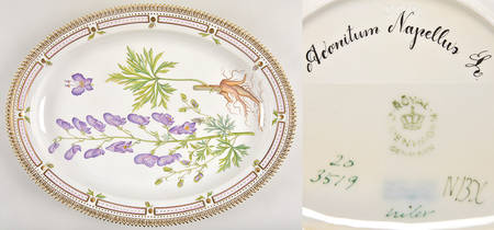 Flora Danica (1961 To Current) 17" Oval Serving Platter-Aconitum napellus L.