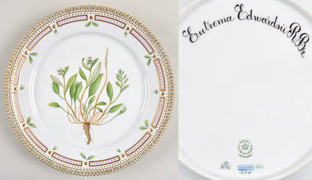 Flora Danica (1961 To Current) Luncheon Plate-Eutrema edwarsii R Br