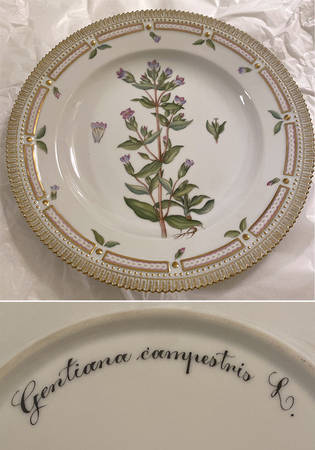 Flora Danica (1961 To Current) Dinner Plate-Gentiana campestris L.