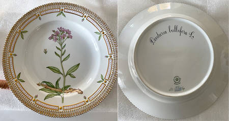 Flora Danica (1961 To Current) Dinner Plate-Dentaria bulbifera L