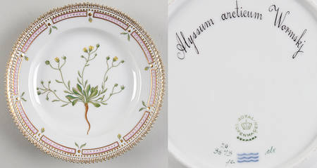 Flora Danica (1961 To Current) Salad Plate-Alyssum arcticum Wormskj