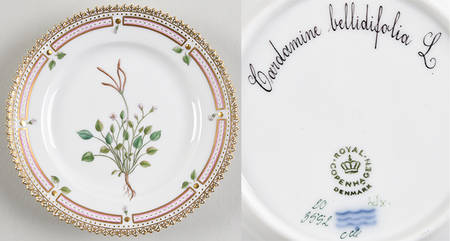 Flora Danica (1961 To Current) Bread & Butter Plate-Cardamine bellidifolia L.
