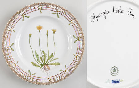 Flora Danica (1961 To Current) Dinner Plate-Apargia hirta Ln