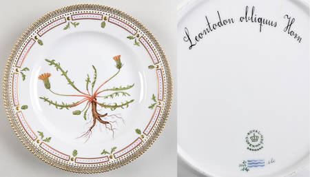 Flora Danica (1961 To Current) Dinner Plate-Leontodon obliquus Horn