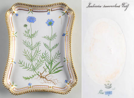 Flora Danica (1961 To Current) 11" Rectangular Tray-Scabiosa suaveolens Desf