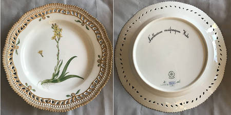 Flora Danica (1961 To Current) 10" Pierced Dinner Plate/Fruit Std-Narthecium ossi