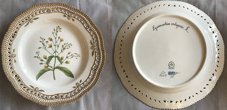 Flora Danica (1961 To Current) 10" Pierced Dinner Plate/Fruit Std-Lysimachia vulg