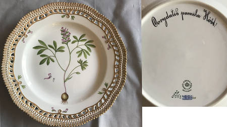 Flora Danica (1961 To Current) 10" Pierced Dinner Plate/Fruit Std-Corydalis pumil