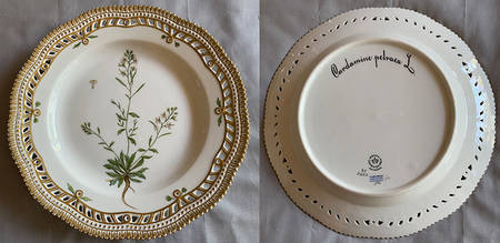 Flora Danica (1961 To Current) 10" Pierced Dinner Plate/Fruit Std-Cardamine Patra