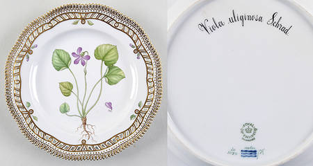 Flora Danica (1961 To Current) 9" Pierced Luncheon Plate/Fruit Std-Viola Uliginos