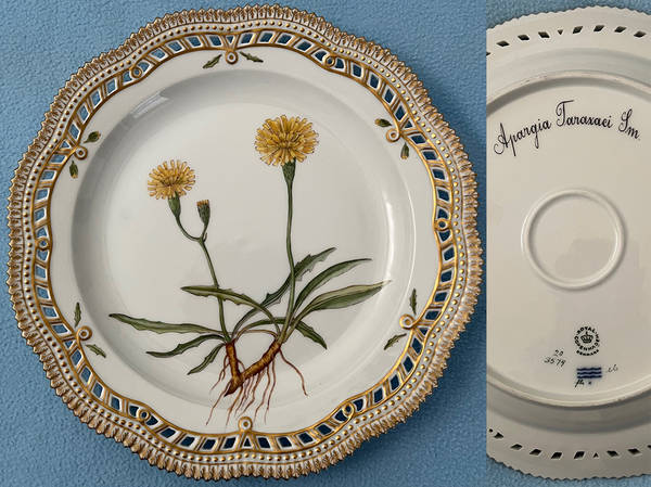 Flora Danica (1961 To Current) 11" Round Pierced Platter-Apargia tarazaci Lm.