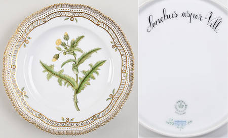 Flora Danica (1961 To Current) 10" Pierced Dinner Plate/Fruit Std-Sonchus asper V
