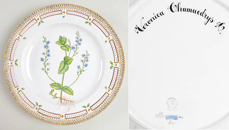 Flora Danica (1961 To Current) Dinner Plate-Veronica Chamaedrys L.