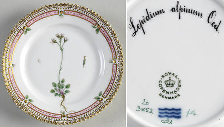Flora Danica (1961 To Current) Bread & Butter Plate-Lepidium alpinum Oed.