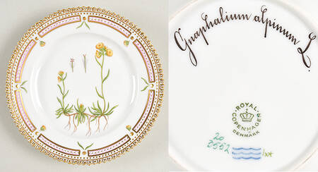 Flora Danica (1961 To Current) Bread & Butter Plate-Gnaphalium alpinum L.