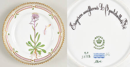 Flora Danica (1961 To Current) Bread & Butter Plate-Erigeron uniflorus L B pulche