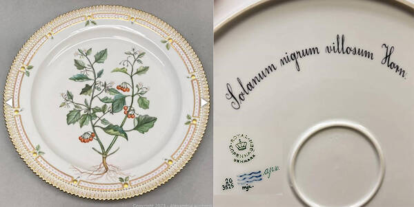 Flora Danica (1961 To Current) 14" Round Platter-Solanum nigrum villosum Horn