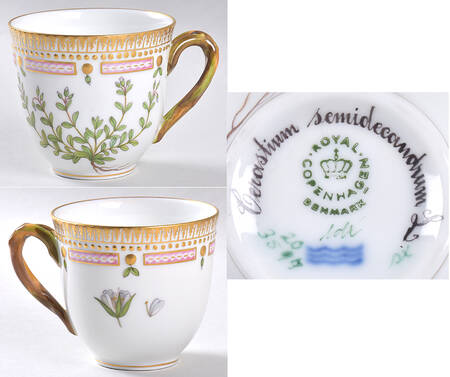 Flora Danica (1961 To Current) Flat Cup-Cerastium semidecandrum L