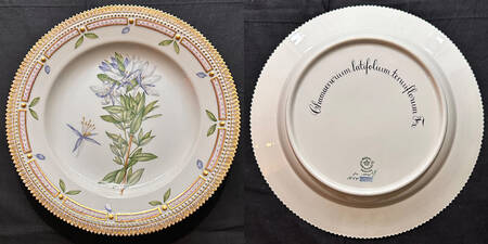 Flora Danica (1961 To Current) Dinner Plate-Chamaenerium latifobum ambiguum