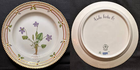 Flora Danica (1961 To Current) Dinner Plate-Viola hirta L.