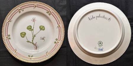 Flora Danica (1961 To Current) Dinner Plate-Viola palustris L.