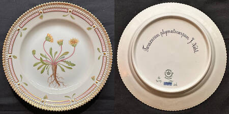 Flora Danica (1961 To Current) Dinner Plate-Taraxacum Phymatocarpum J. Vahl