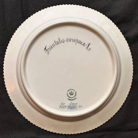 Flora Danica (1961 To Current) Dinner Plate-Trientalis europaca L.