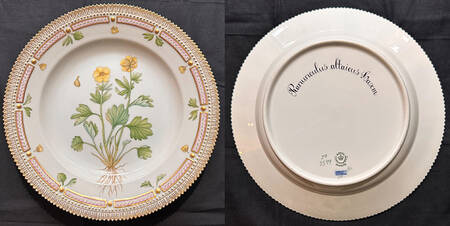 Flora Danica (1961 To Current) Dinner Plate-Ranunculus altaicus Lasem