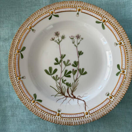 Flora Danica (1961 To Current) Dinner Plate-Potentilla Aridentata Sol