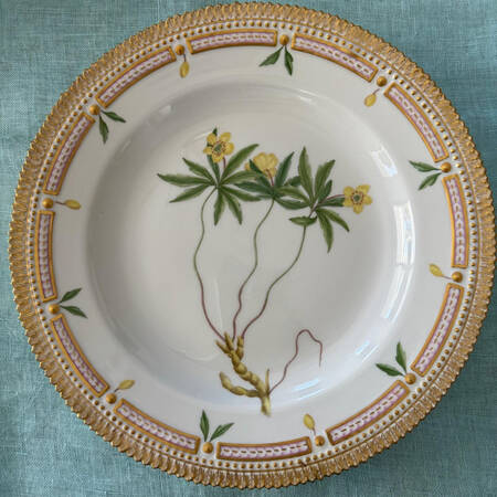 Flora Danica (1961 To Current) Dinner Plate-Anemone Ranunculoides L.