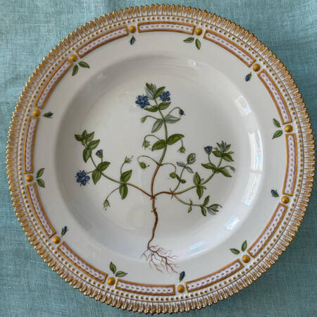 Flora Danica (1961 To Current) Dinner Plate- Anagallis Coerulea Schreb.