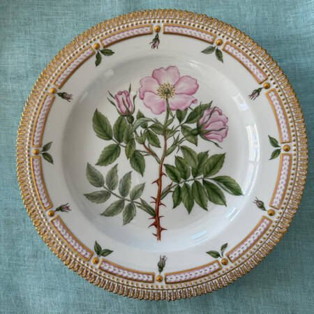 Flora Danica (1961 To Current) Dinner Plate-Rosa Mollissima Willd