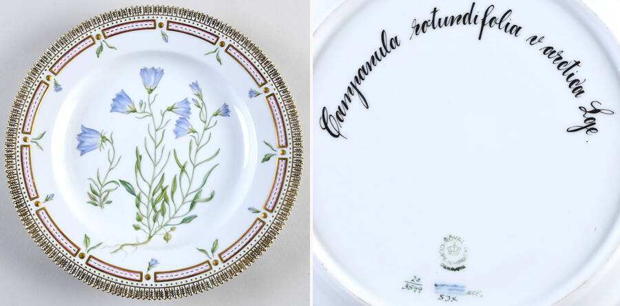 Flora Danica (1961 To Current) Dinner Plate-Campanula rotundifolia L.