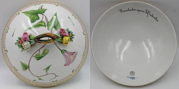 Flora Danica (1961 To Current) Lid for Round Vegetable-Convoloulus L Bcoloratus